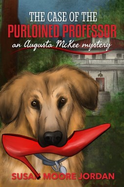 71014848_556688011768410_6485785781037170688_n